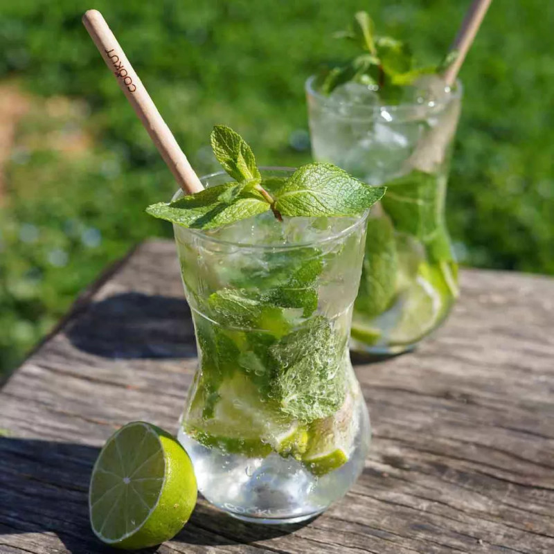 MEILLEURS VERRES À MOJITO